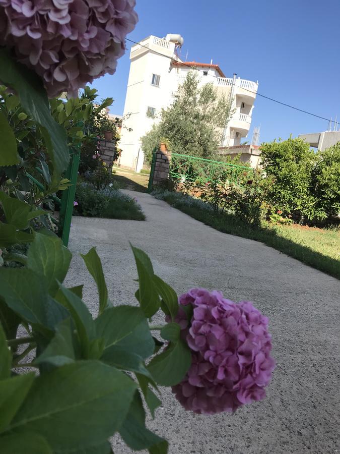 Villa Roku Ksamil Zewnętrze zdjęcie